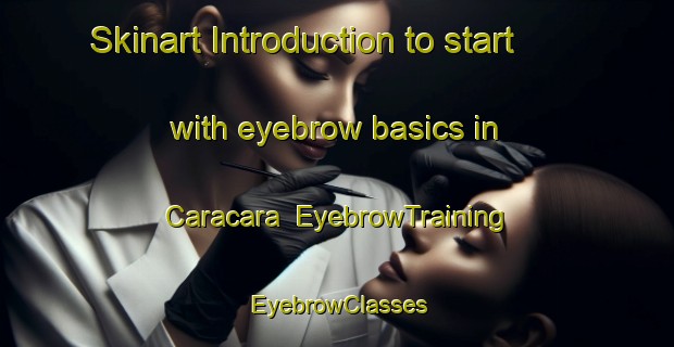 Skinart Introduction to start with eyebrow basics in Caracara | EyebrowTraining | EyebrowClasses | SkinartTraining-Argentina