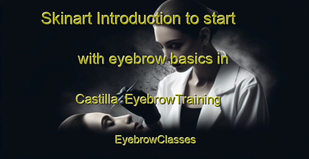 Skinart Introduction to start with eyebrow basics in Castilla | EyebrowTraining | EyebrowClasses | SkinartTraining-Argentina