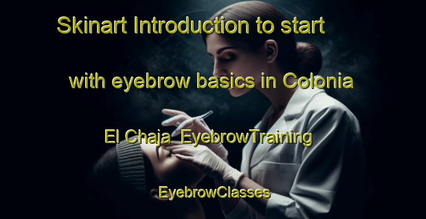 Skinart Introduction to start with eyebrow basics in Colonia El Chaja | EyebrowTraining | EyebrowClasses | SkinartTraining-Argentina