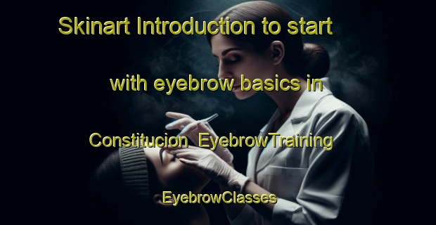 Skinart Introduction to start with eyebrow basics in Constitucion | EyebrowTraining | EyebrowClasses | SkinartTraining-Argentina