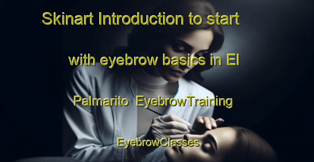 Skinart Introduction to start with eyebrow basics in El Palmarito | EyebrowTraining | EyebrowClasses | SkinartTraining-Argentina