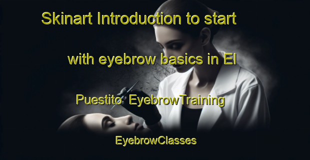 Skinart Introduction to start with eyebrow basics in El Puestito | EyebrowTraining | EyebrowClasses | SkinartTraining-Argentina