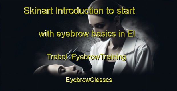 Skinart Introduction to start with eyebrow basics in El Trebol | EyebrowTraining | EyebrowClasses | SkinartTraining-Argentina