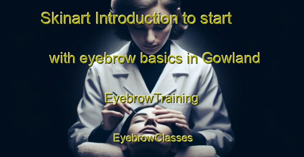 Skinart Introduction to start with eyebrow basics in Gowland | EyebrowTraining | EyebrowClasses | SkinartTraining-Argentina