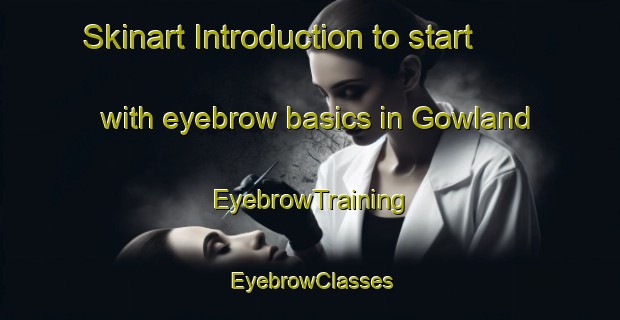 Skinart Introduction to start with eyebrow basics in Gowland | EyebrowTraining | EyebrowClasses | SkinartTraining-Argentina