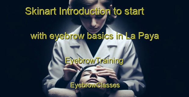 Skinart Introduction to start with eyebrow basics in La Paya | EyebrowTraining | EyebrowClasses | SkinartTraining-Argentina
