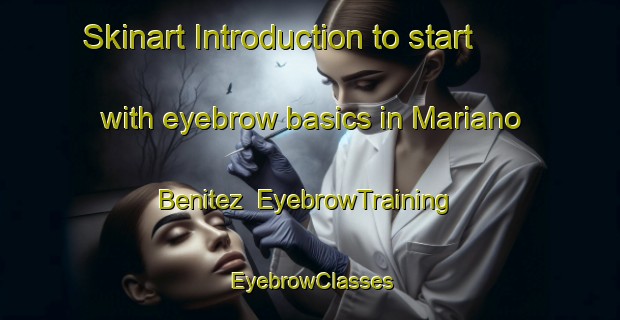 Skinart Introduction to start with eyebrow basics in Mariano Benitez | EyebrowTraining | EyebrowClasses | SkinartTraining-Argentina