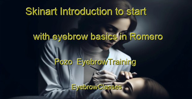 Skinart Introduction to start with eyebrow basics in Romero Pozo | EyebrowTraining | EyebrowClasses | SkinartTraining-Argentina