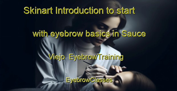 Skinart Introduction to start with eyebrow basics in Sauce Viejo | EyebrowTraining | EyebrowClasses | SkinartTraining-Argentina