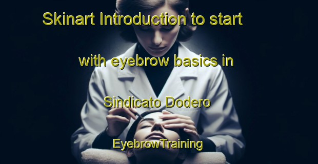 Skinart Introduction to start with eyebrow basics in Sindicato Dodero | EyebrowTraining | EyebrowClasses | SkinartTraining-Argentina