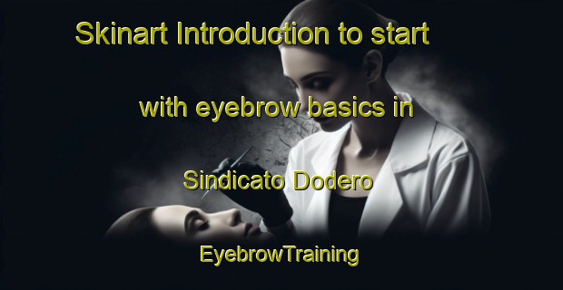 Skinart Introduction to start with eyebrow basics in Sindicato Dodero | EyebrowTraining | EyebrowClasses | SkinartTraining-Argentina