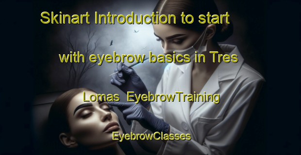 Skinart Introduction to start with eyebrow basics in Tres Lomas | EyebrowTraining | EyebrowClasses | SkinartTraining-Argentina