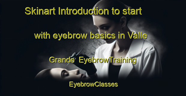 Skinart Introduction to start with eyebrow basics in Valle Grande | EyebrowTraining | EyebrowClasses | SkinartTraining-Argentina