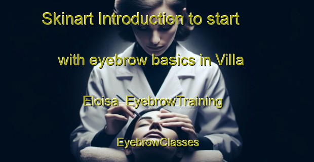 Skinart Introduction to start with eyebrow basics in Villa Eloisa | EyebrowTraining | EyebrowClasses | SkinartTraining-Argentina
