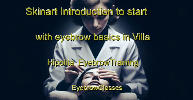 Skinart Introduction to start with eyebrow basics in Villa Hipolita | EyebrowTraining | EyebrowClasses | SkinartTraining-Argentina