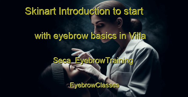 Skinart Introduction to start with eyebrow basics in Villa Seca | EyebrowTraining | EyebrowClasses | SkinartTraining-Argentina