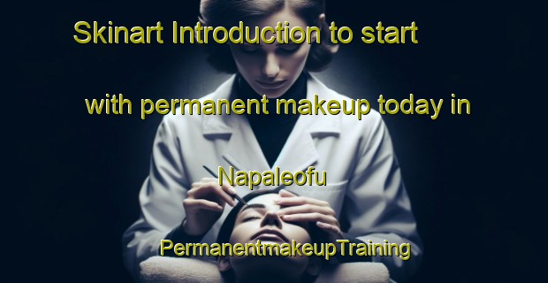 Skinart Introduction to start with permanent makeup today in Napaleofu | #PermanentmakeupTraining #PermanentmakeupClasses #SkinartTraining-Argentina