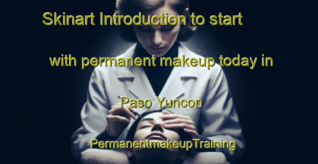 Skinart Introduction to start with permanent makeup today in Paso Yuncon | PermanentmakeupTraining | PermanentmakeupClasses | SkinartTraining-Argentina