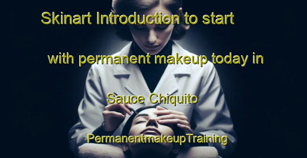 Skinart Introduction to start with permanent makeup today in Sauce Chiquito | PermanentmakeupTraining | PermanentmakeupClasses | SkinartTraining-Argentina