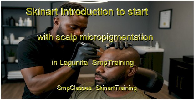 Skinart Introduction to start with scalp micropigmentation in Lagunita | SmpTraining | SmpClasses | SkinartTraining-Argentina