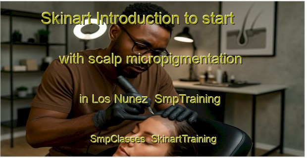 Skinart Introduction to start with scalp micropigmentation in Los Nunez | SmpTraining | SmpClasses | SkinartTraining-Argentina
