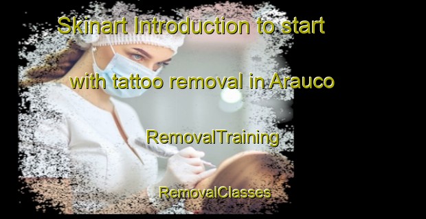 Skinart Introduction to start with tattoo removal in Arauco | RemovalTraining | RemovalClasses | SkinartTraining-Argentina