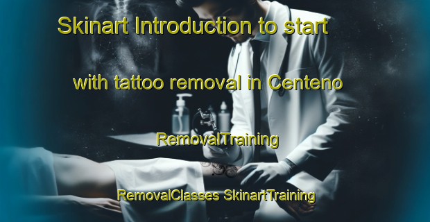 Skinart Introduction to start with tattoo removal in Centeno | #RemovalTraining #RemovalClasses #SkinartTraining-Argentina