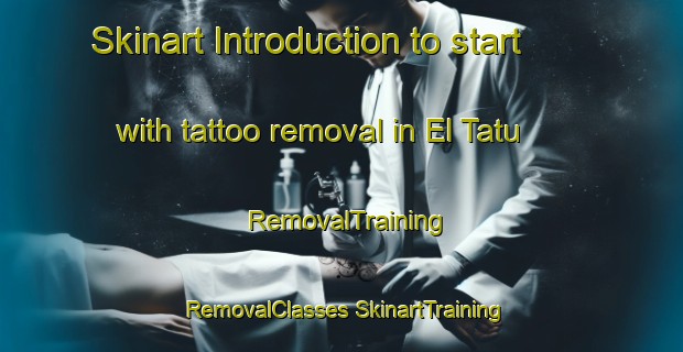 Skinart Introduction to start with tattoo removal in El Tatu | #RemovalTraining #RemovalClasses #SkinartTraining-Argentina