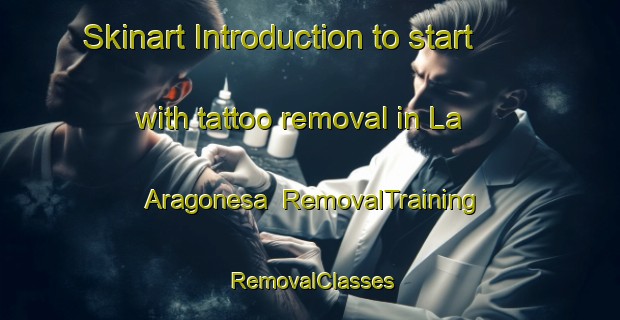 Skinart Introduction to start with tattoo removal in La Aragonesa | RemovalTraining | RemovalClasses | SkinartTraining-Argentina