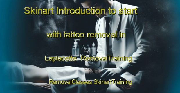 Skinart Introduction to start with tattoo removal in Laplacette | #RemovalTraining #RemovalClasses #SkinartTraining-Argentina