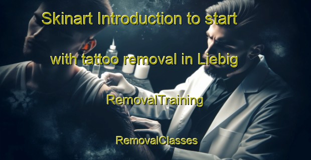 Skinart Introduction to start with tattoo removal in Liebig | RemovalTraining | RemovalClasses | SkinartTraining-Argentina
