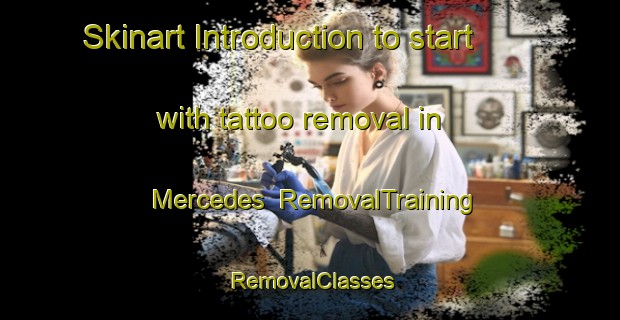 Skinart Introduction to start with tattoo removal in Mercedes | RemovalTraining | RemovalClasses | SkinartTraining-Argentina