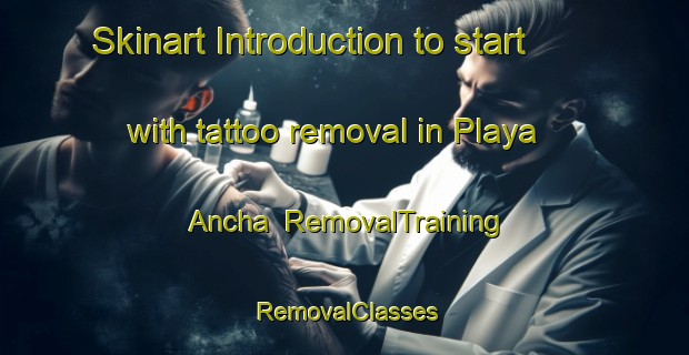Skinart Introduction to start with tattoo removal in Playa Ancha | RemovalTraining | RemovalClasses | SkinartTraining-Argentina