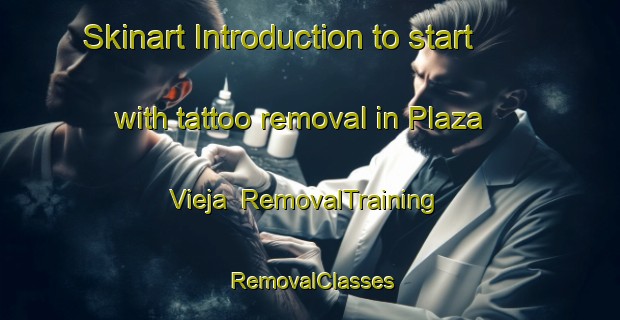 Skinart Introduction to start with tattoo removal in Plaza Vieja | RemovalTraining | RemovalClasses | SkinartTraining-Argentina