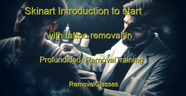Skinart Introduction to start with tattoo removal in Profundidad | RemovalTraining | RemovalClasses | SkinartTraining-Argentina