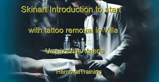 Skinart Introduction to start with tattoo removal in Villa Urquizavilla Valeria | RemovalTraining | RemovalClasses | SkinartTraining-Argentina