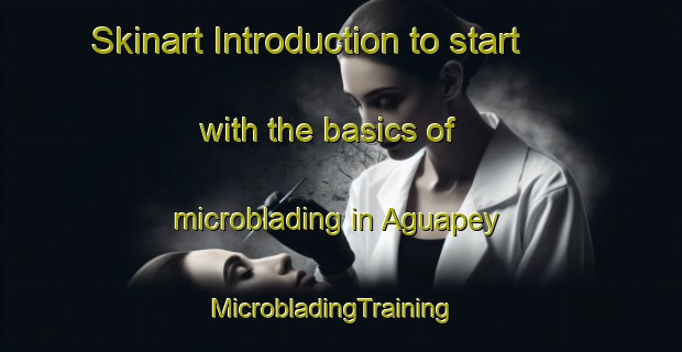 Skinart Introduction to start with the basics of microblading in Aguapey | MicrobladingTraining | MicrobladingClasses | SkinartTraining-Argentina