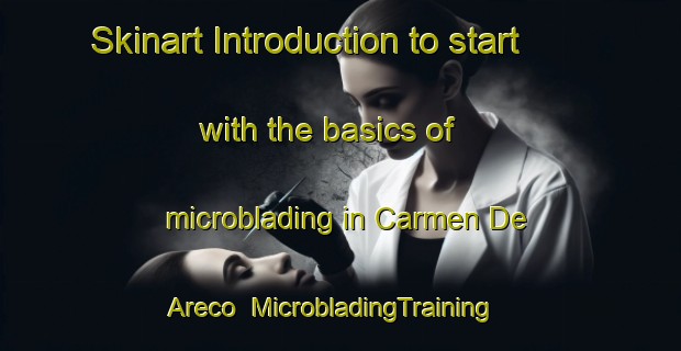 Skinart Introduction to start with the basics of microblading in Carmen De Areco | MicrobladingTraining | MicrobladingClasses | SkinartTraining-Argentina