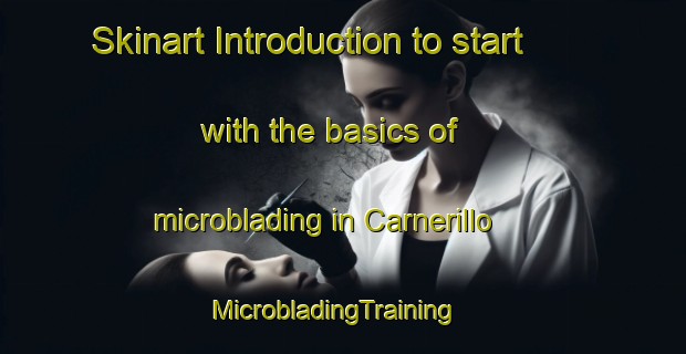 Skinart Introduction to start with the basics of microblading in Carnerillo | MicrobladingTraining | MicrobladingClasses | SkinartTraining-Argentina