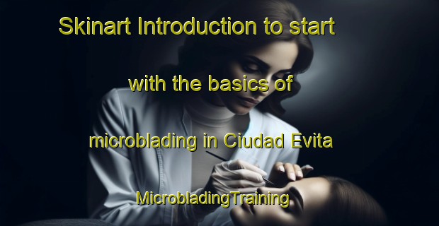 Skinart Introduction to start with the basics of microblading in Ciudad Evita | MicrobladingTraining | MicrobladingClasses | SkinartTraining-Argentina