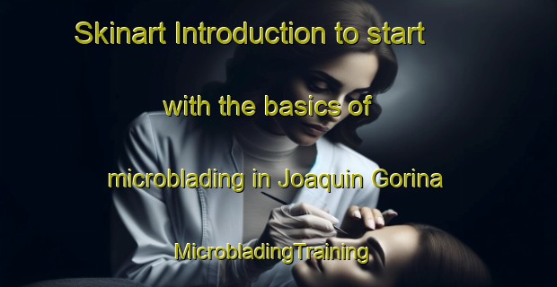 Skinart Introduction to start with the basics of microblading in Joaquin Gorina | MicrobladingTraining | MicrobladingClasses | SkinartTraining-Argentina