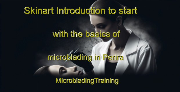 Skinart Introduction to start with the basics of microblading in Perira | MicrobladingTraining | MicrobladingClasses | SkinartTraining-Argentina