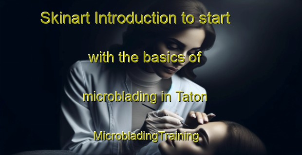 Skinart Introduction to start with the basics of microblading in Taton | MicrobladingTraining | MicrobladingClasses | SkinartTraining-Argentina