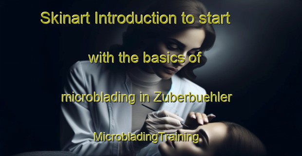 Skinart Introduction to start with the basics of microblading in Zuberbuehler | MicrobladingTraining | MicrobladingClasses | SkinartTraining-Argentina