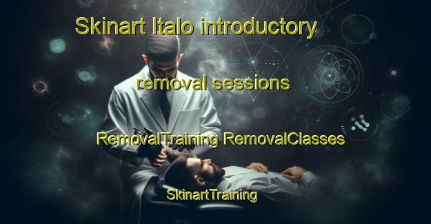 Skinart Italo introductory removal sessions | #RemovalTraining #RemovalClasses #SkinartTraining-Argentina