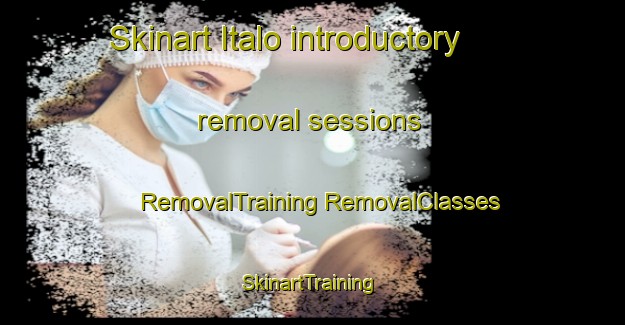 Skinart Italo introductory removal sessions | #RemovalTraining #RemovalClasses #SkinartTraining-Argentina