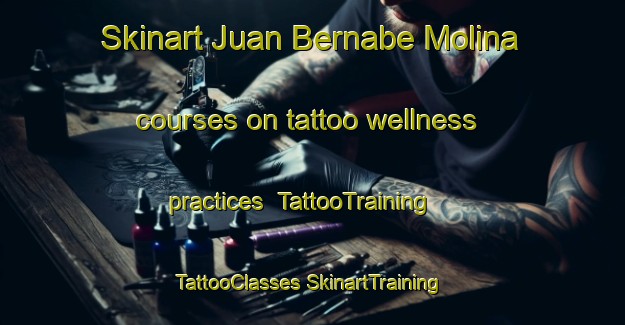 Skinart Juan Bernabe Molina courses on tattoo wellness practices | #TattooTraining #TattooClasses #SkinartTraining-Argentina