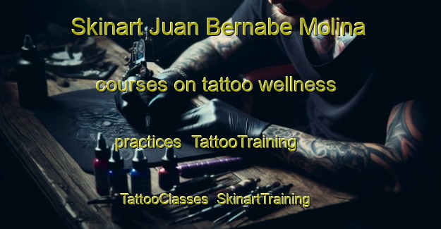 Skinart Juan Bernabe Molina courses on tattoo wellness practices | TattooTraining | TattooClasses | SkinartTraining-Argentina
