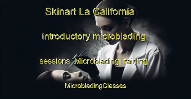 Skinart La California introductory microblading sessions | #MicrobladingTraining #MicrobladingClasses #SkinartTraining-Argentina