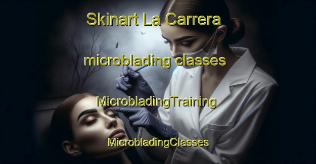 Skinart La Carrera microblading classes | #MicrobladingTraining #MicrobladingClasses #SkinartTraining-Argentina